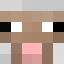 pocket edition server host